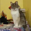 Отзыв от Елизавета Латышева